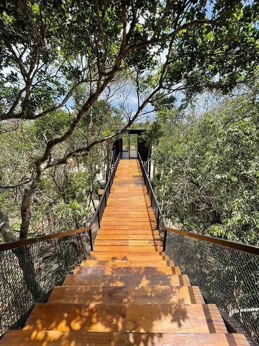 Increible Casa Elevada Con Cenote Privado En Tulum Balcheil