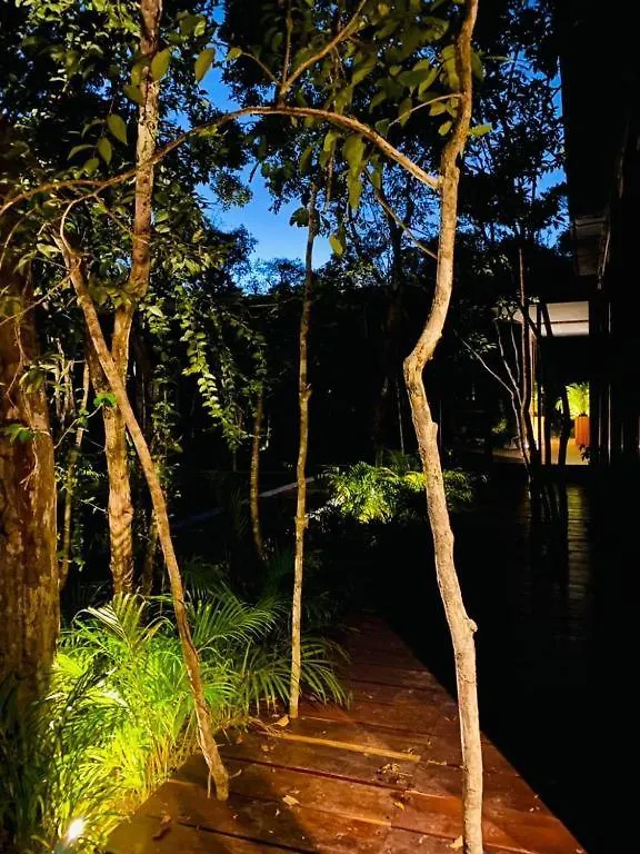 Increible Casa Elevada Con Cenote Privado En Tulum Mexikó