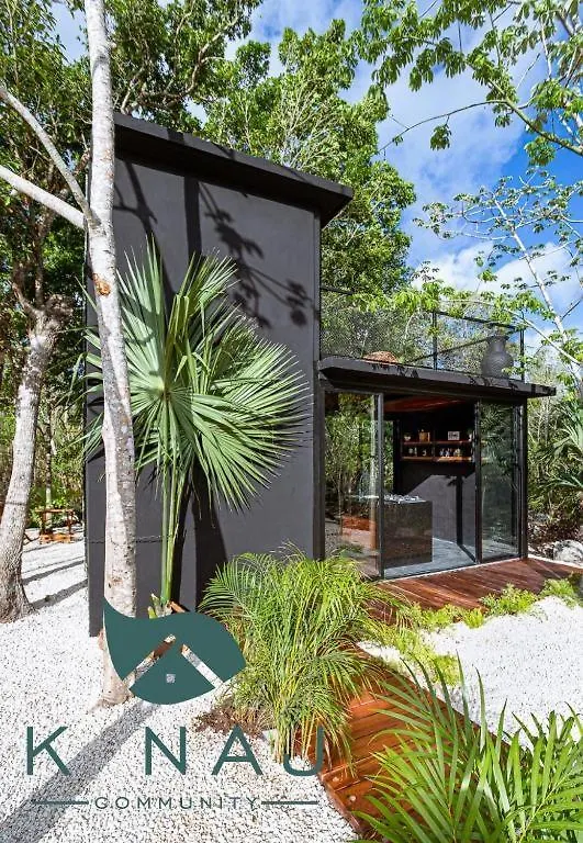 Increible Casa Elevada Con Cenote Privado En Tulum Villa Balcheil