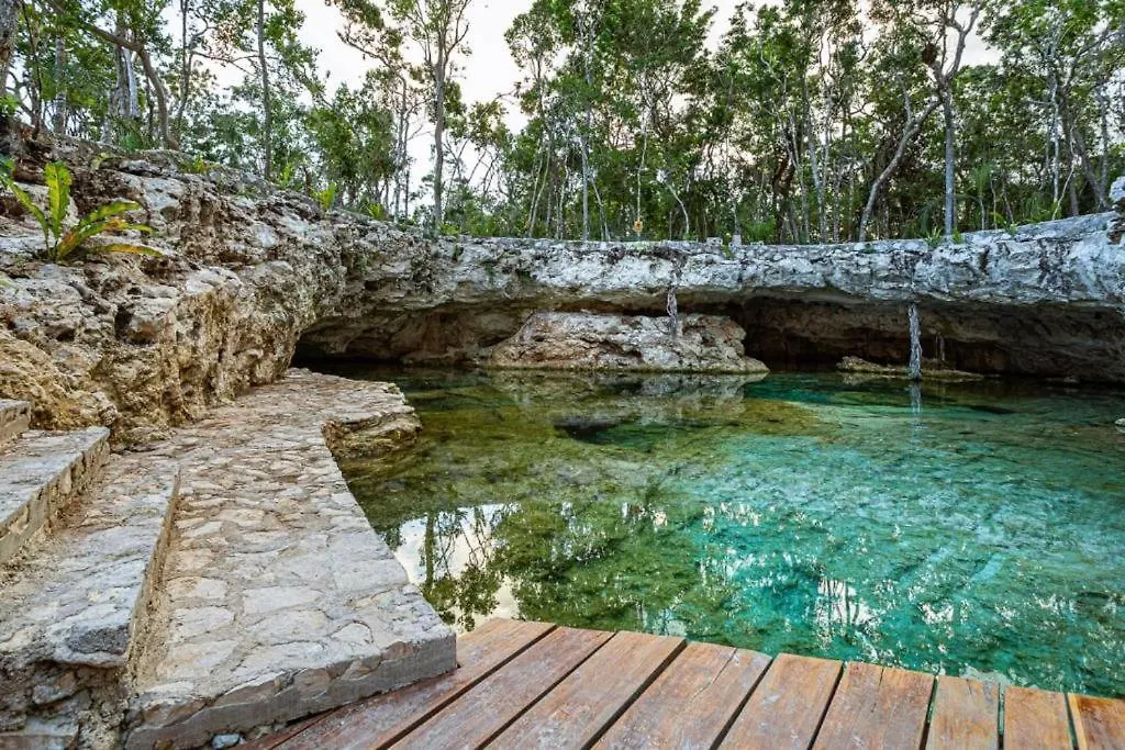 Increible Casa Elevada Con Cenote Privado En Tulum Mexikó